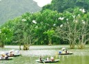 Du Lịch Ninh Bình: Hà Nội – Bái Đính – Tràng An – Vườn chim thung nham (2N1Đ)