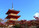 OSAKA – NAGOYA – KYOTO – FUJI MT. – TOKYO (6N5Đ)
